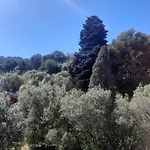 Spectacular Sea View - 3 Minutes Walk From The Sea *