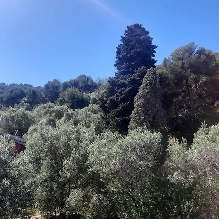 Casa delle Rose Laigueglia Terrazza vista mare, Wi-Fi e aria condizionata *