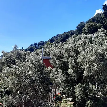 Casa Delle Rose Terrazza Vista Mare, Wi-fi E Aria Condizionata Ferienhaus