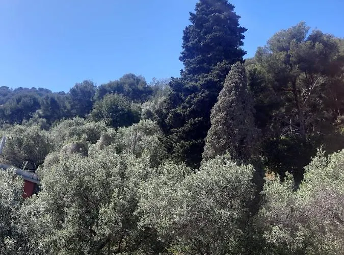 Spectacular Sea View - 3 Minutes Walk From The Sea *
