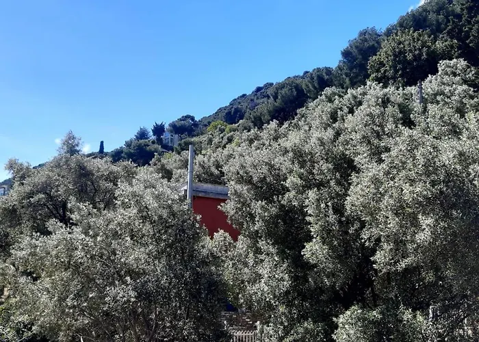 Spectacular Sea View - 3 Minutes Walk From The Sea Vakantiehuis